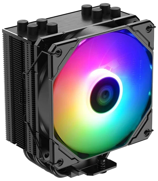 600x800 (29)_pixian_ai